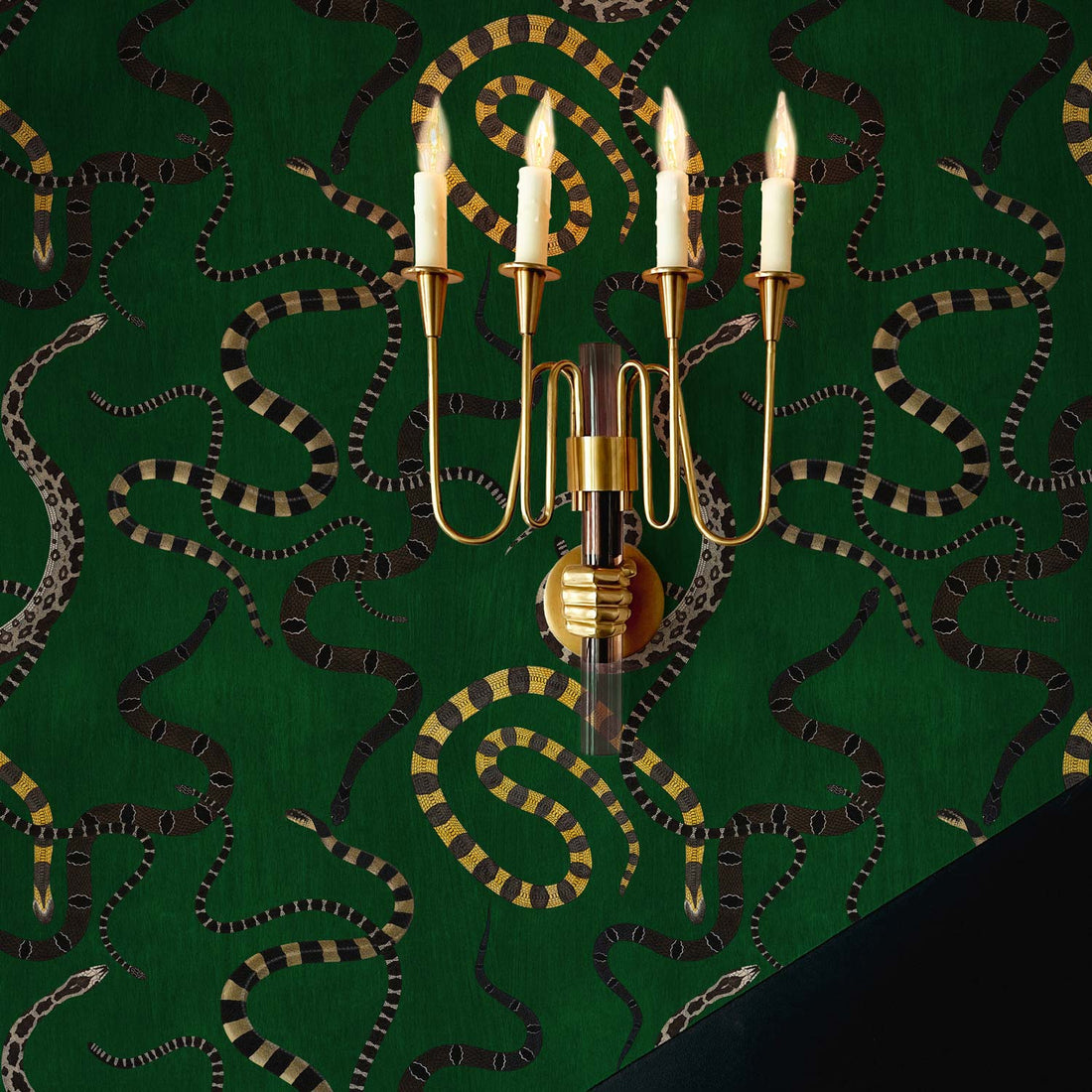 Snake In The Grass Wallpaper