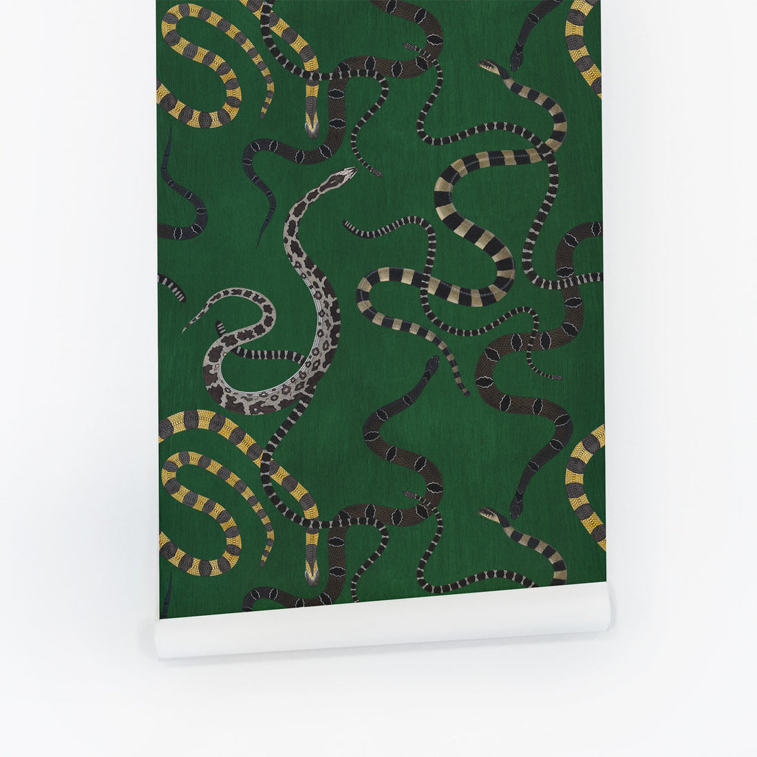 Snake In The Grass Wallpaper