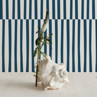 blue simple lines removable wallpaper for modern coastal style interior