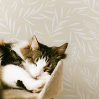 beige olive tree leaf inspired wallpaper design with sleeping cat