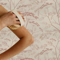 Dusty pink botanical seed head pattern wallpaper on a cream background