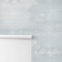 Vintage Cloud Silk Wall Mural