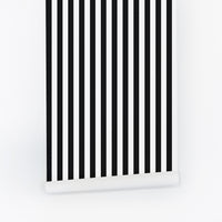 Classic black and white stripes ceiling wallpaper