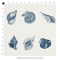 blue coastal shells print fabric