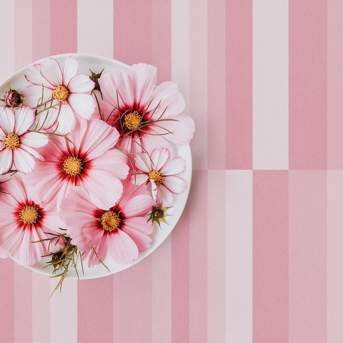 pastel pink retro striped wallpaper design for home interior