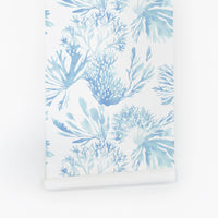 beach house coral wallpaper in soft blue for powder room design