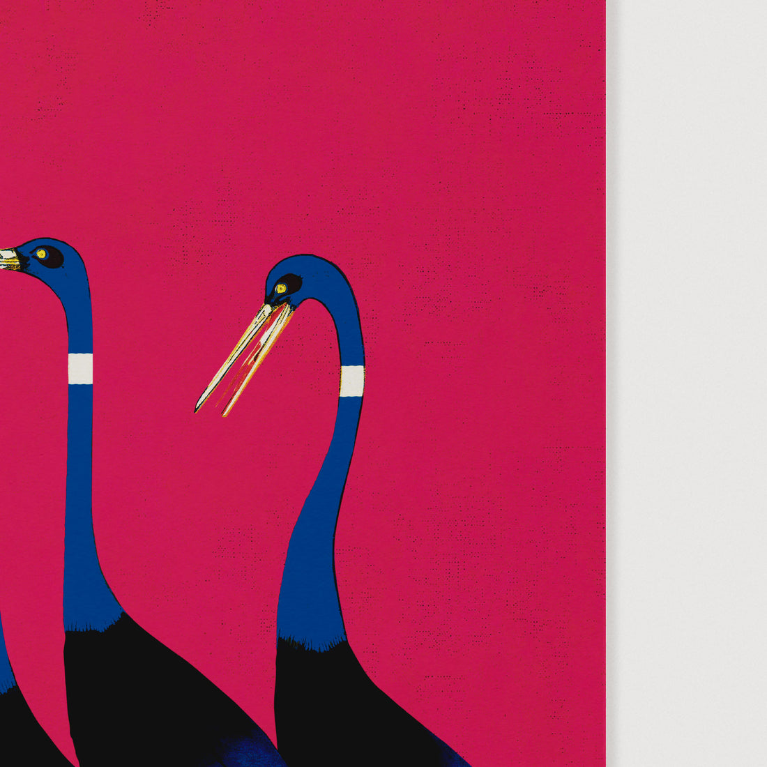 Birds print close up