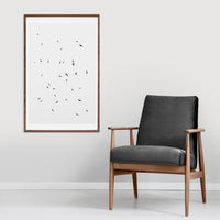 Birds photography poster