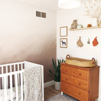 Pastel Ombre wall mural inspired by pampas grass