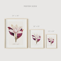 Poster size chart