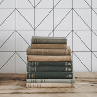 simple geometric lines print wallpaper for library interior