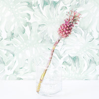 large scale green palm leaves removable wallpaper for kids bedroom