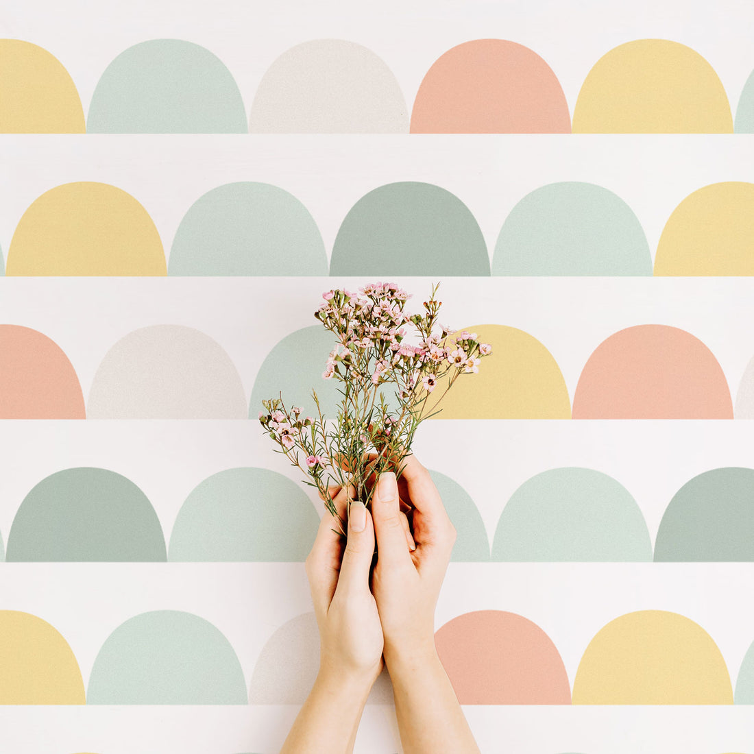 geometric half circles print wallpaper in rainbow colors