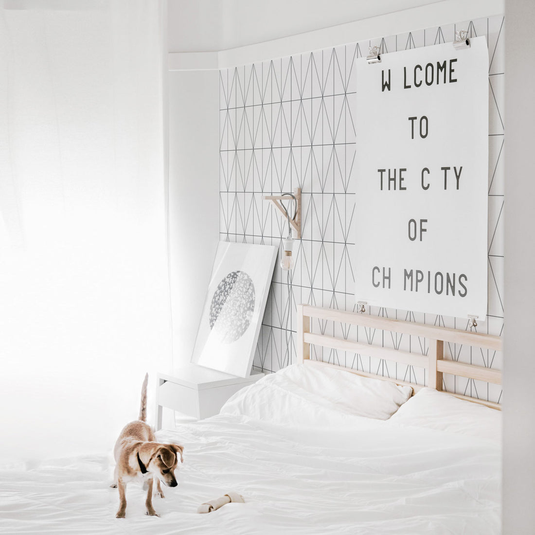 Modern peel & stick removable wallpaper on bedroom accent wall