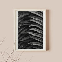 Fern Leaf Photography Poster Print