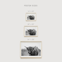 Wild buffalo Print