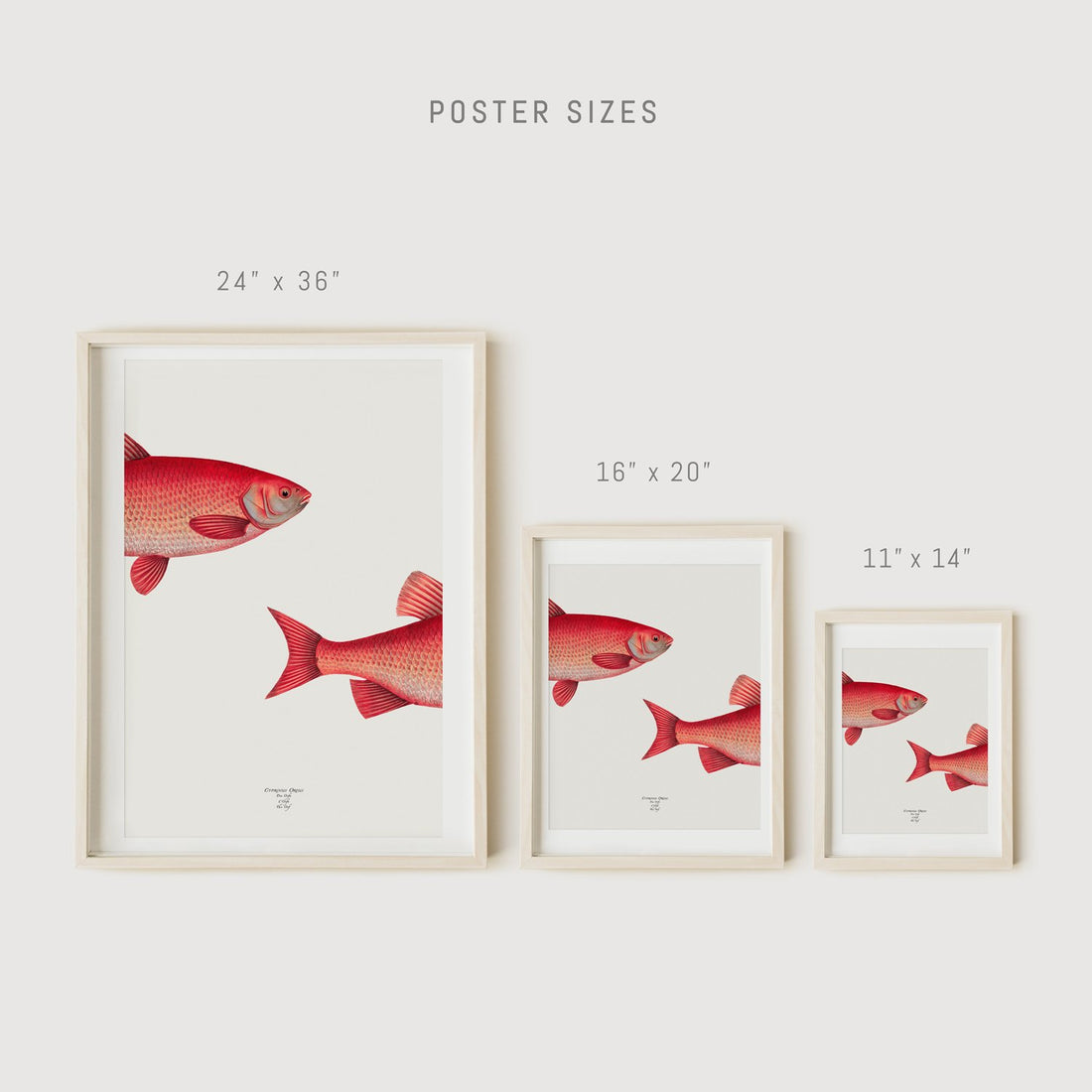 Wall decor with fish print