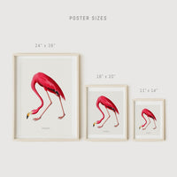 Wall decor with pink flamingos