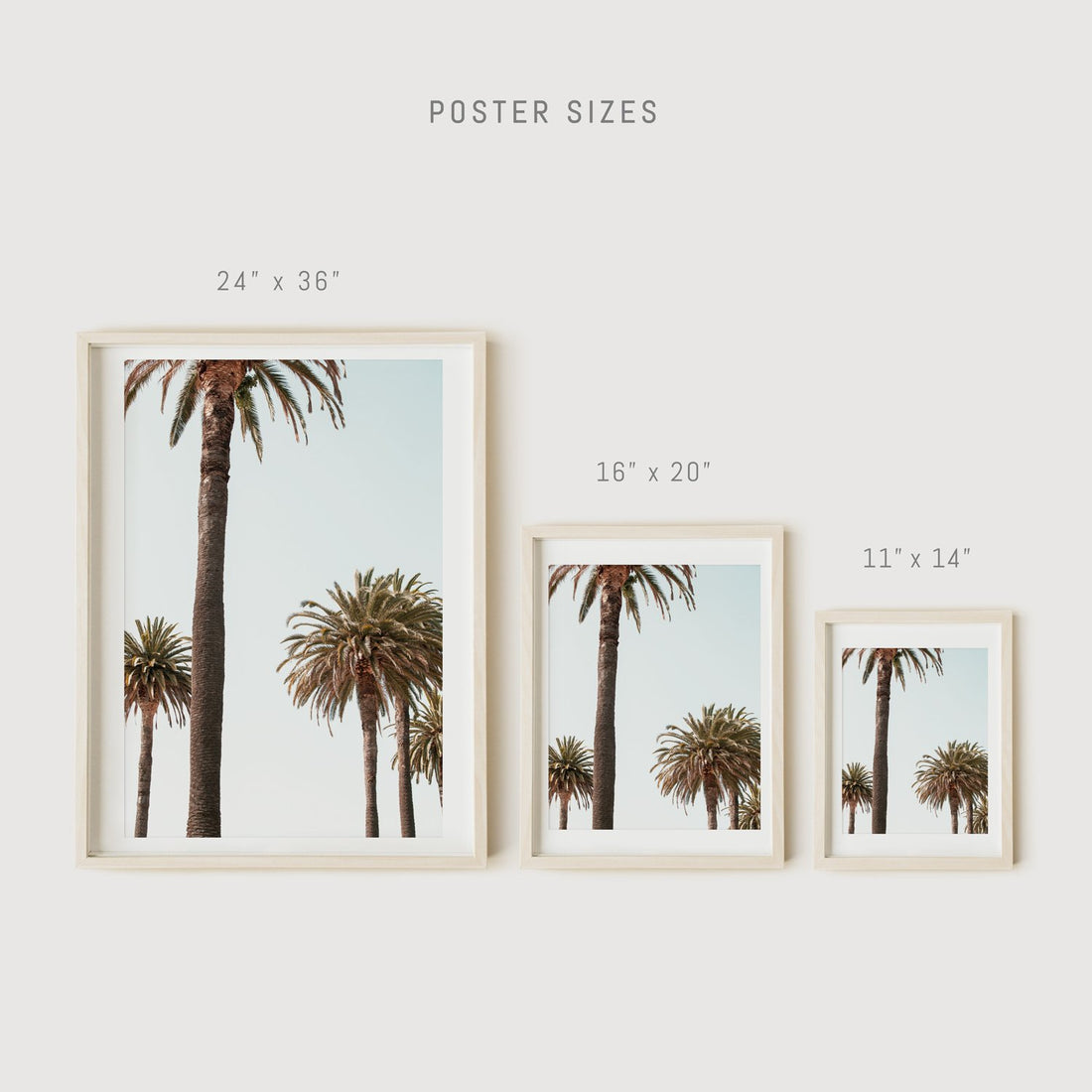 Palm photography poster