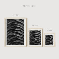 Fern botanical poster
