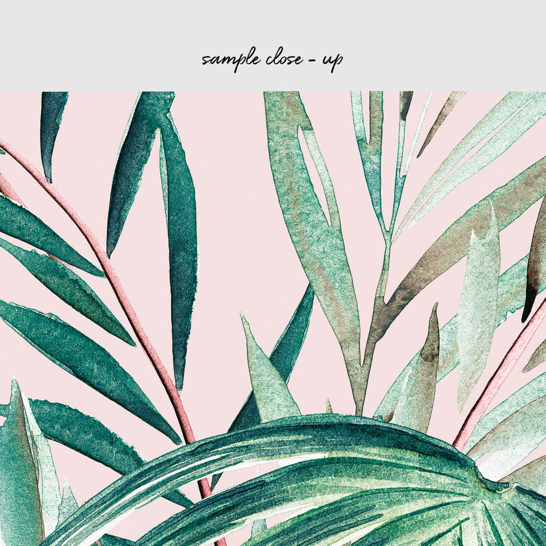 Blush pink tropical removable wallpaper design