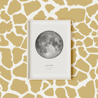 safari inspired wallpaper for kids bedroom with giraffe pattern