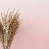baby pink bohemian style removable wallpaper