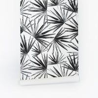 modern black and white tropical palm leaves wallpaper