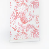 Elegant coral removable wallpaper by Livettes