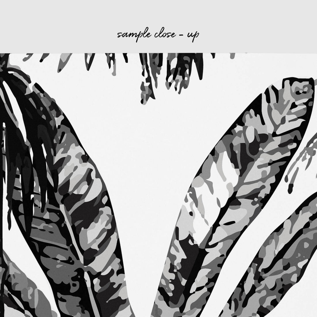 Modern black and white tropical wall mural