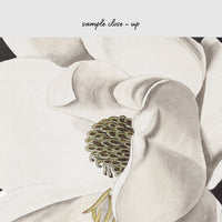 Vintage botanical removable wallpaper