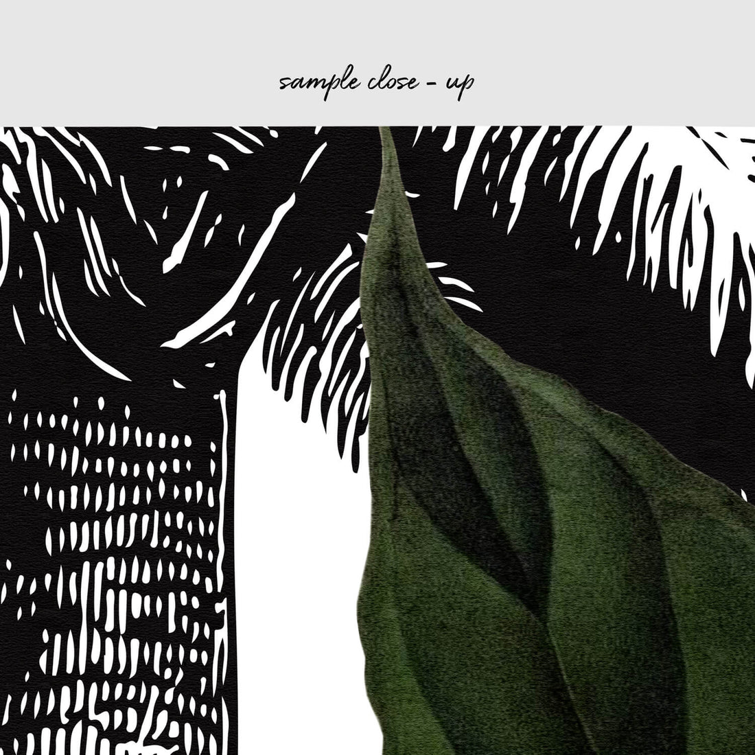 Vintage palm print removable wallpaper
