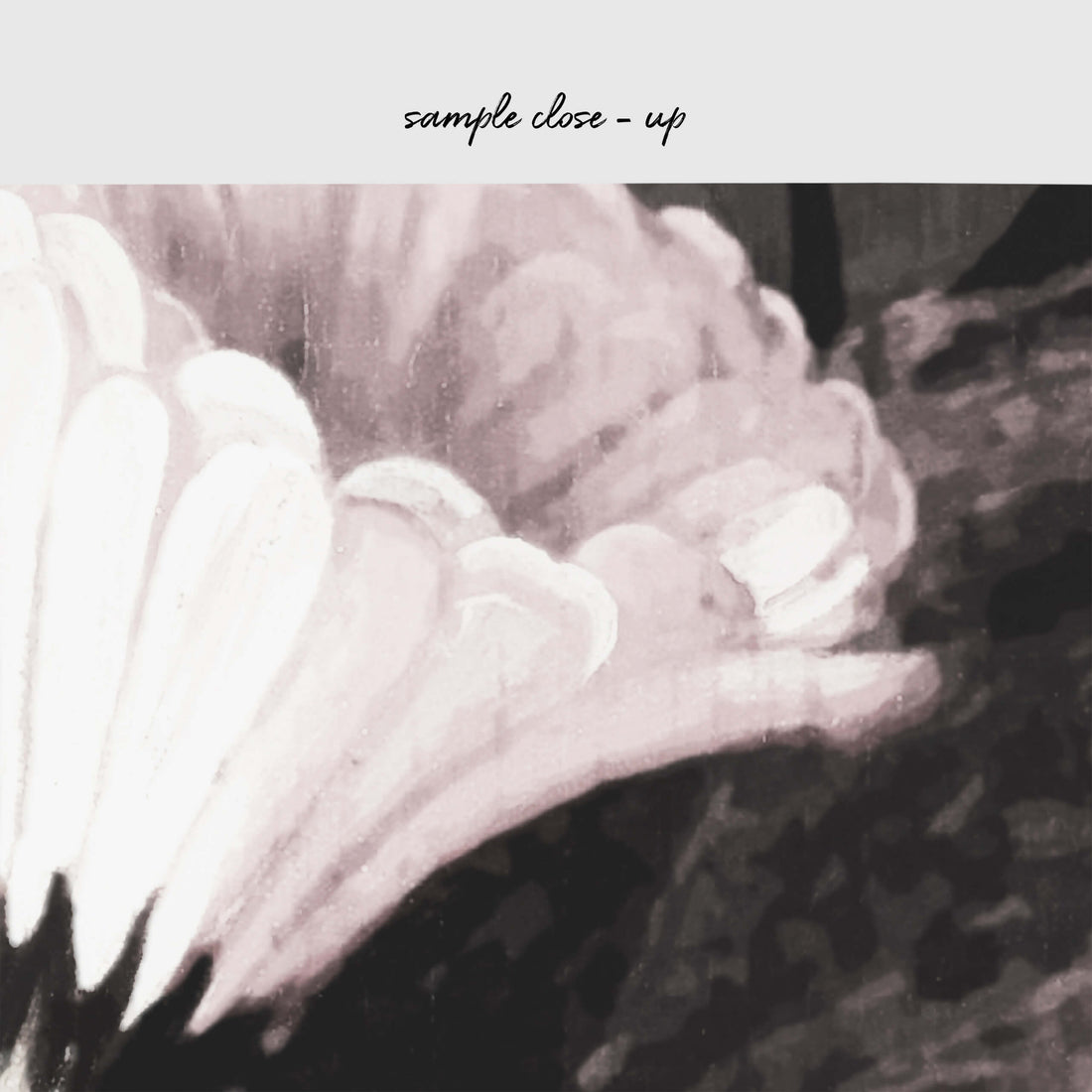 close up of subtle floral print wall mural