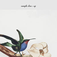 Vintage bird removable wall mural wallpaper