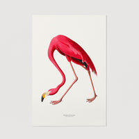 Pink Flamingo print wall art