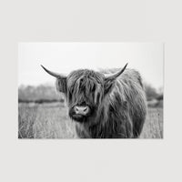 Wildlife animal photography large print