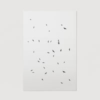 Wall decor birds photography print