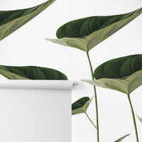 Green vintage leaves removable wall mural