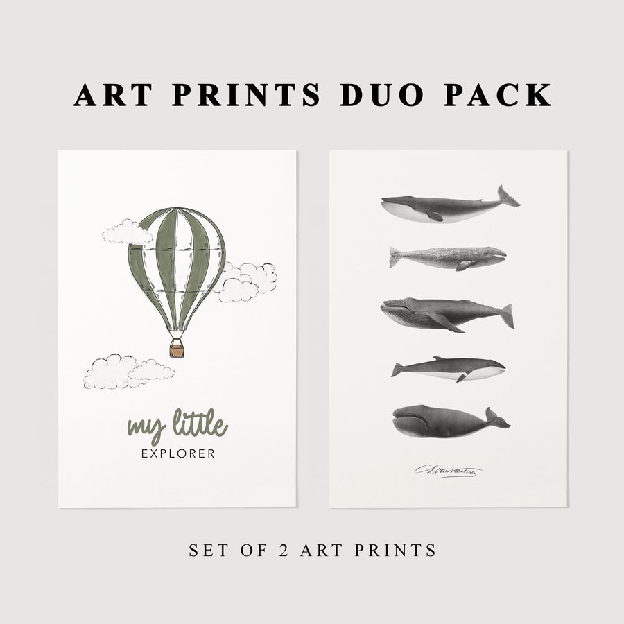 Explorer Poster Duo Pack + Free FedEx Delivery