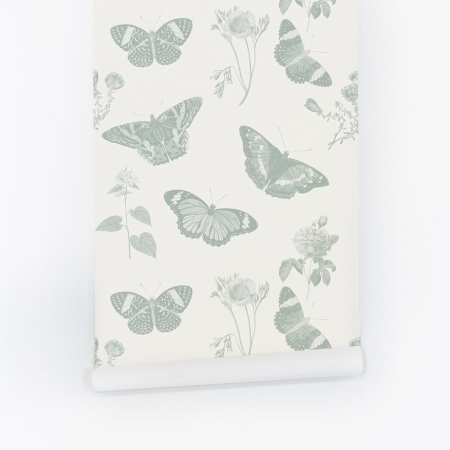 Vintage butterfly removable wallpaper in sage green color