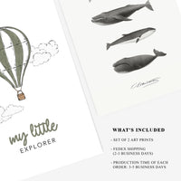 Explorer Poster Duo Pack + Free FedEx Delivery