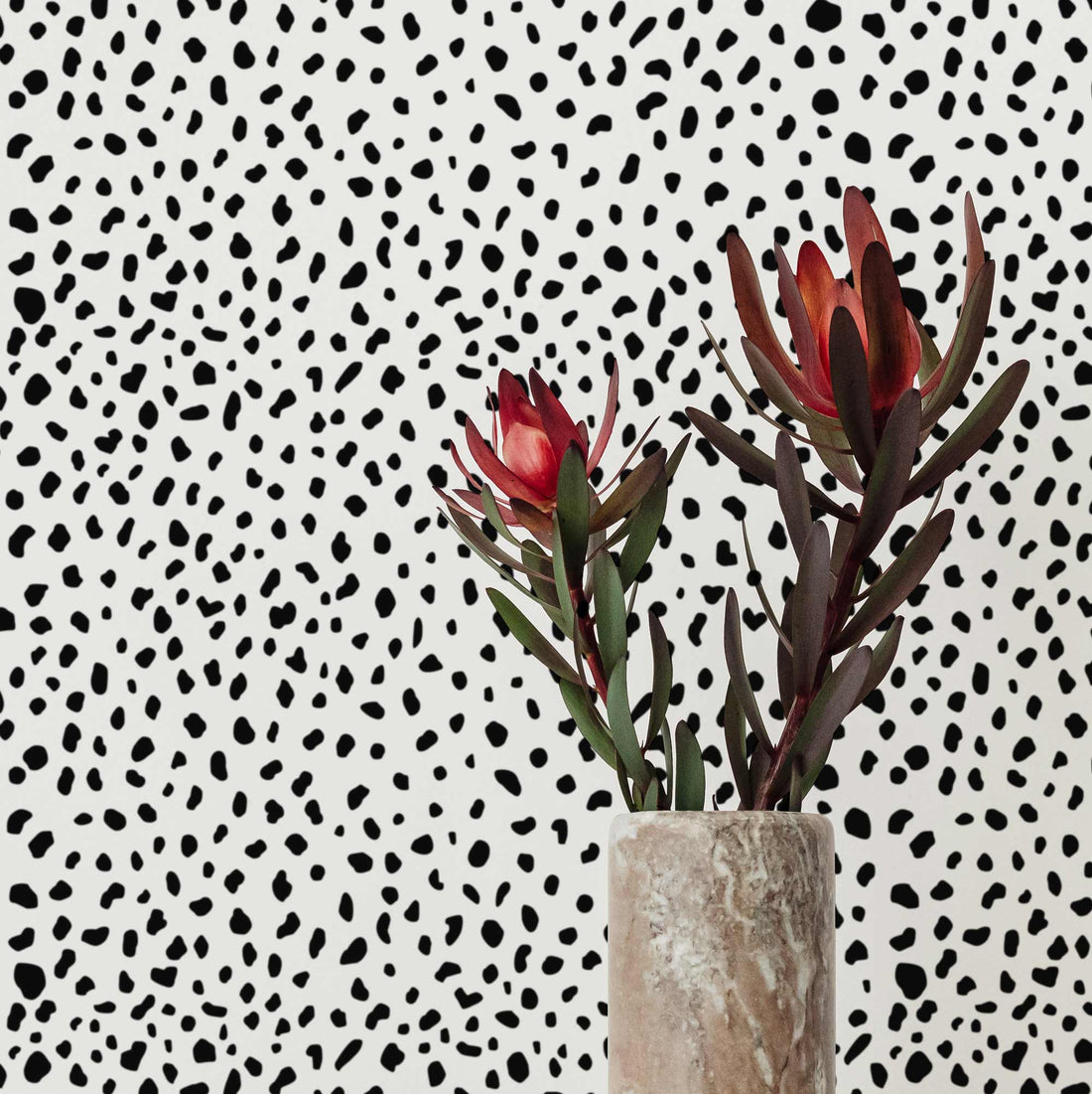 small black and white dot pattern wallpaper animal style