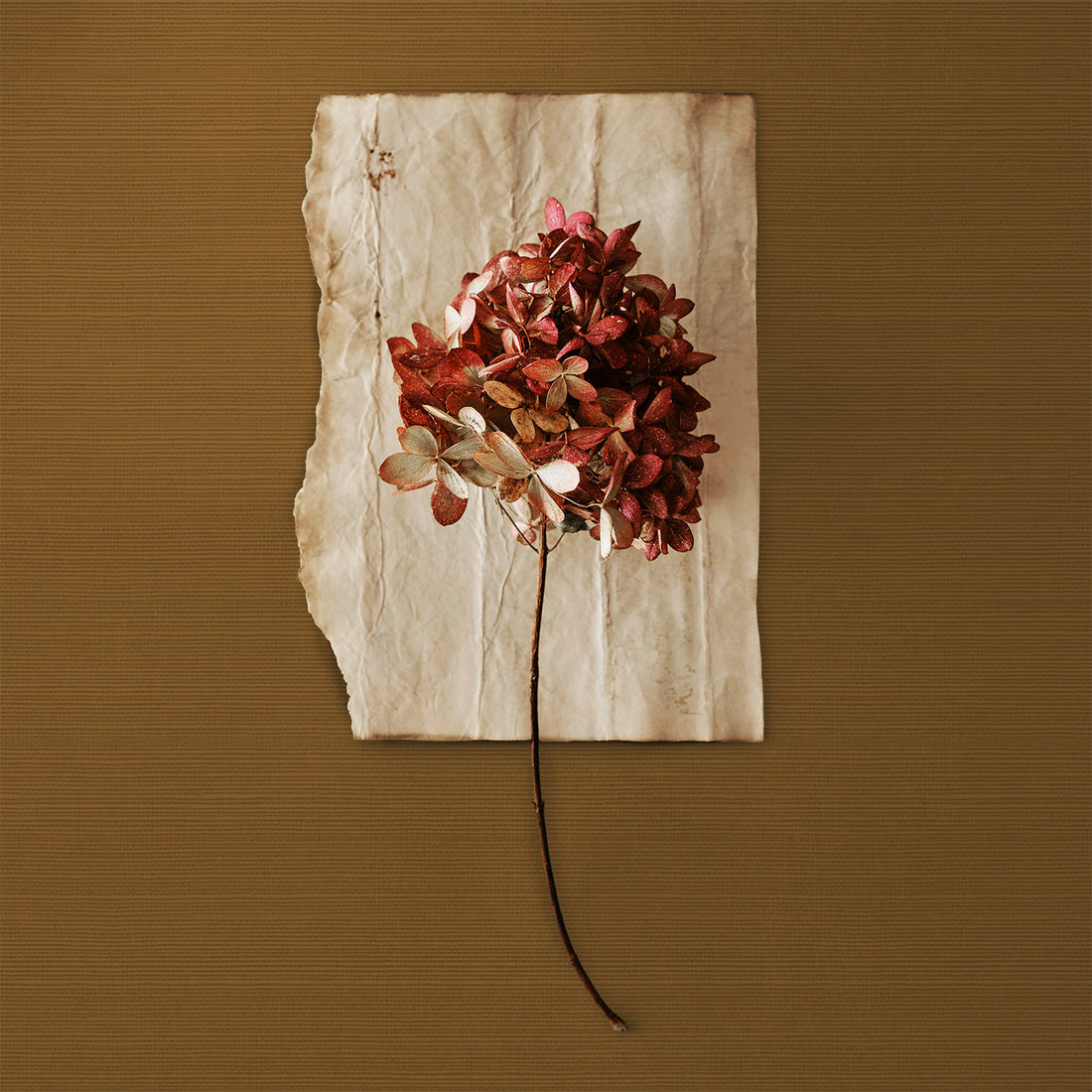 Mustard Brown Grasscloth Wallpaper
