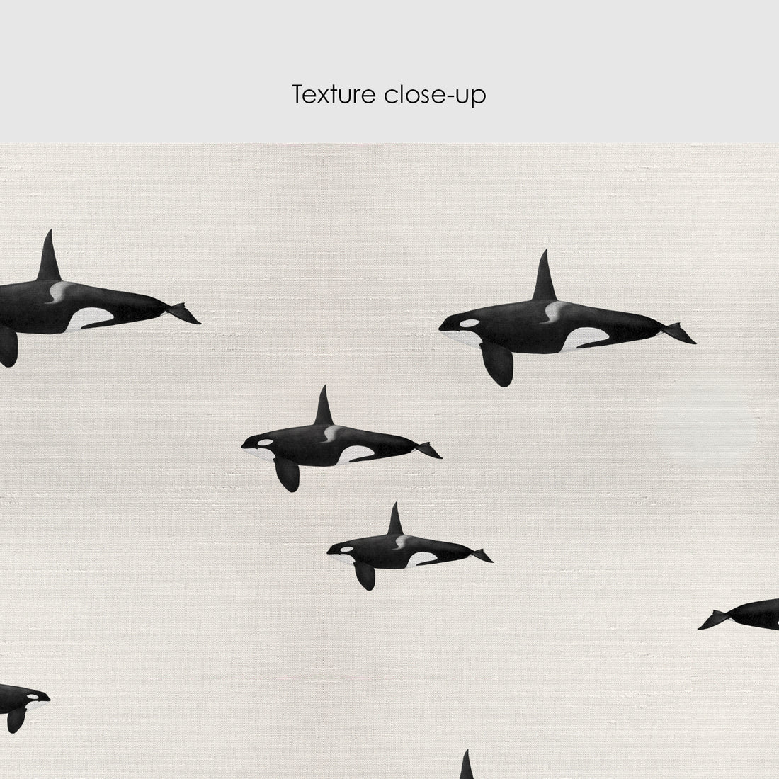 Orca Whale Silk Wallpaper