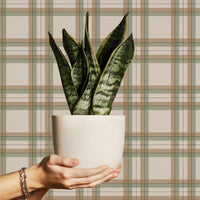 Tartan Inspired Wallpaper in Brown and Green