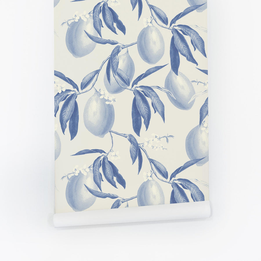 blue lemon print removable wallpaper