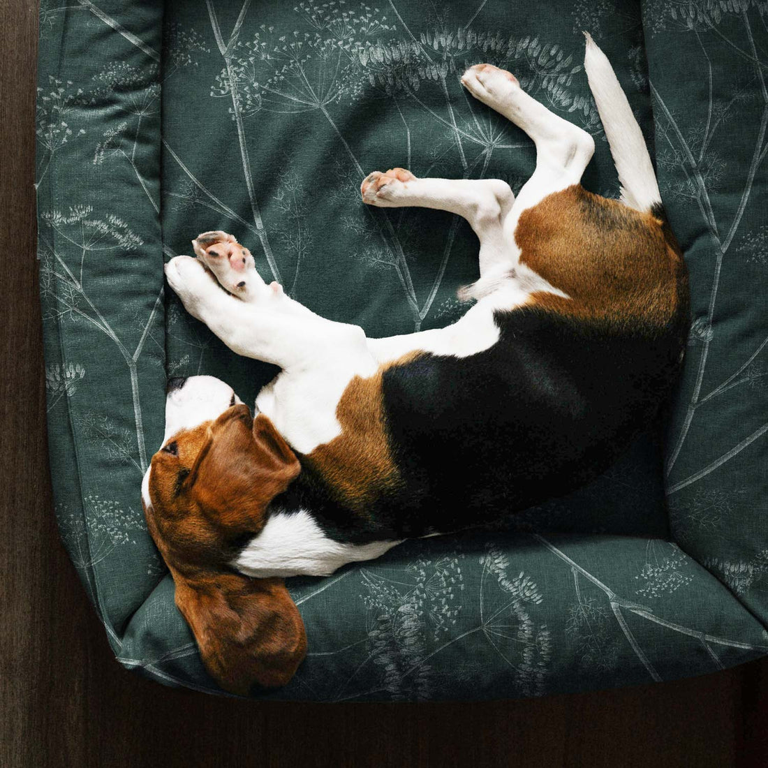 dog bed with green fabric case