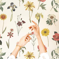 dainty botanical flowers pattern wallpaper for farmhouse style home