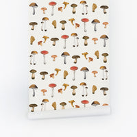 colorful mushroom pattern peel and stick wallpaper for kids bedroom