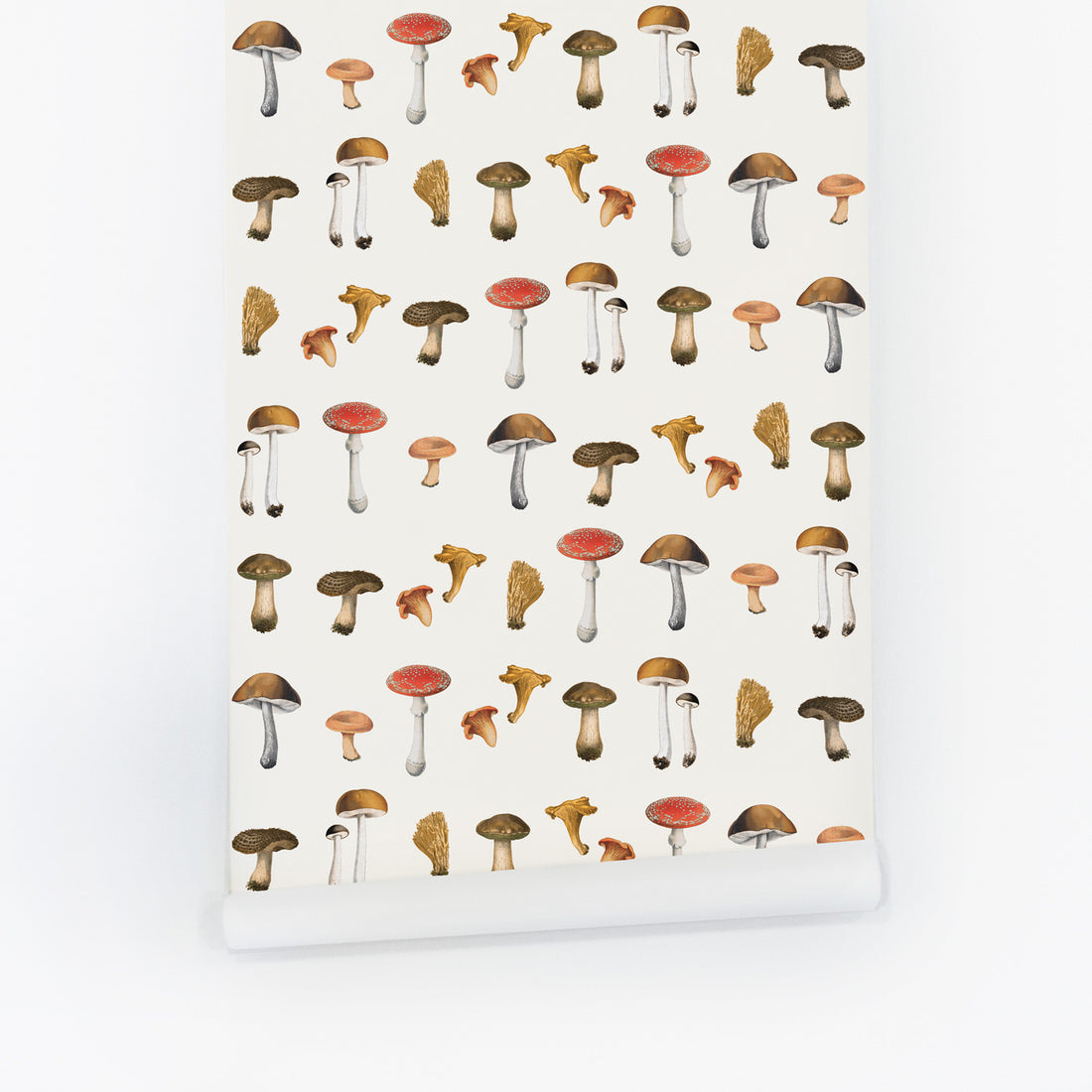 multiple colorful mushrooms for modern farmhouse inspired home interior